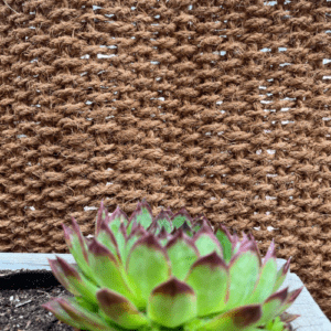 Alfombra, Valla o Cortina de coco