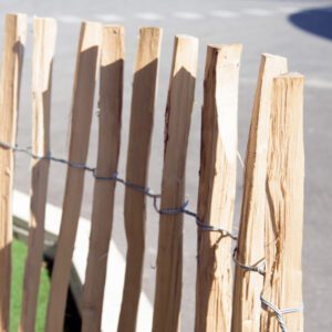 Empalizada de Avellano / Valla de estacas