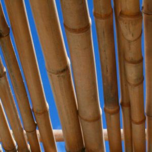 Bambú Decorativo Natural 120 cm