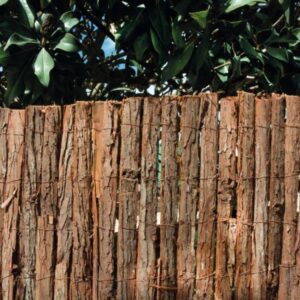 Corteza de Doble Cara