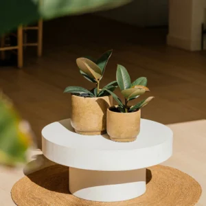 Alfombra Redonda Gamo de Mimbre Natural