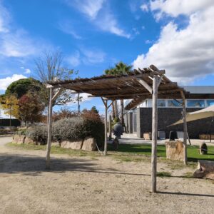 Pérgola de Eucalipto con Varas Cuadrada 3m x 3m