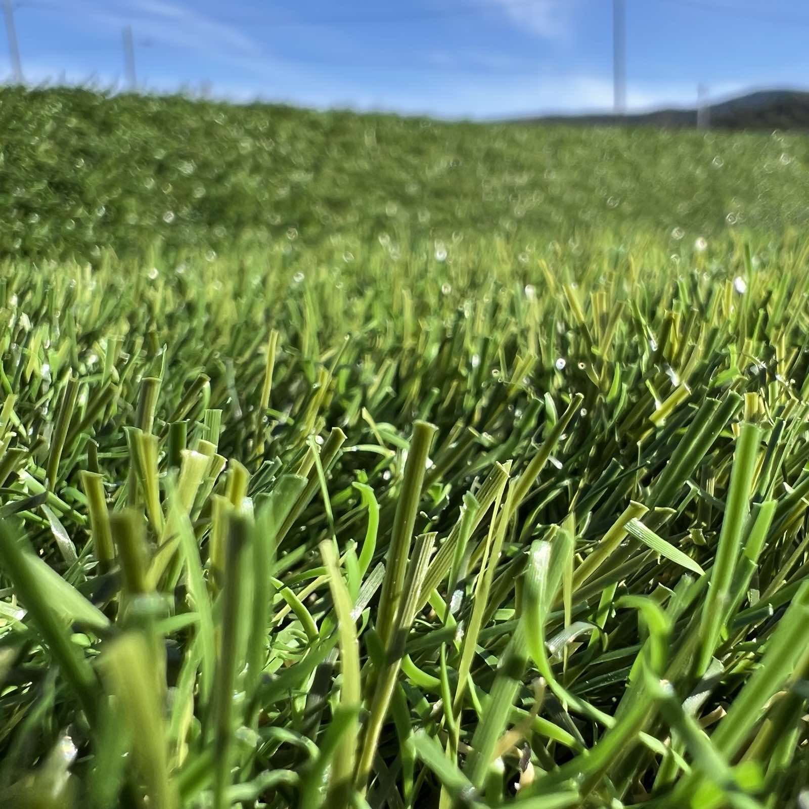 Césped artificial MULTIDIRECCIONAL